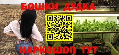 a pvp Брянск