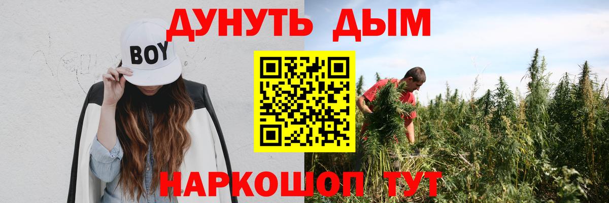 Бошки Шишки план Баксан